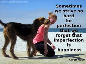 Sometimes we strive so hard for perfection that we forget that imperfection is happiness. - Karen Nave