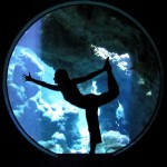 Aquarium Dancer